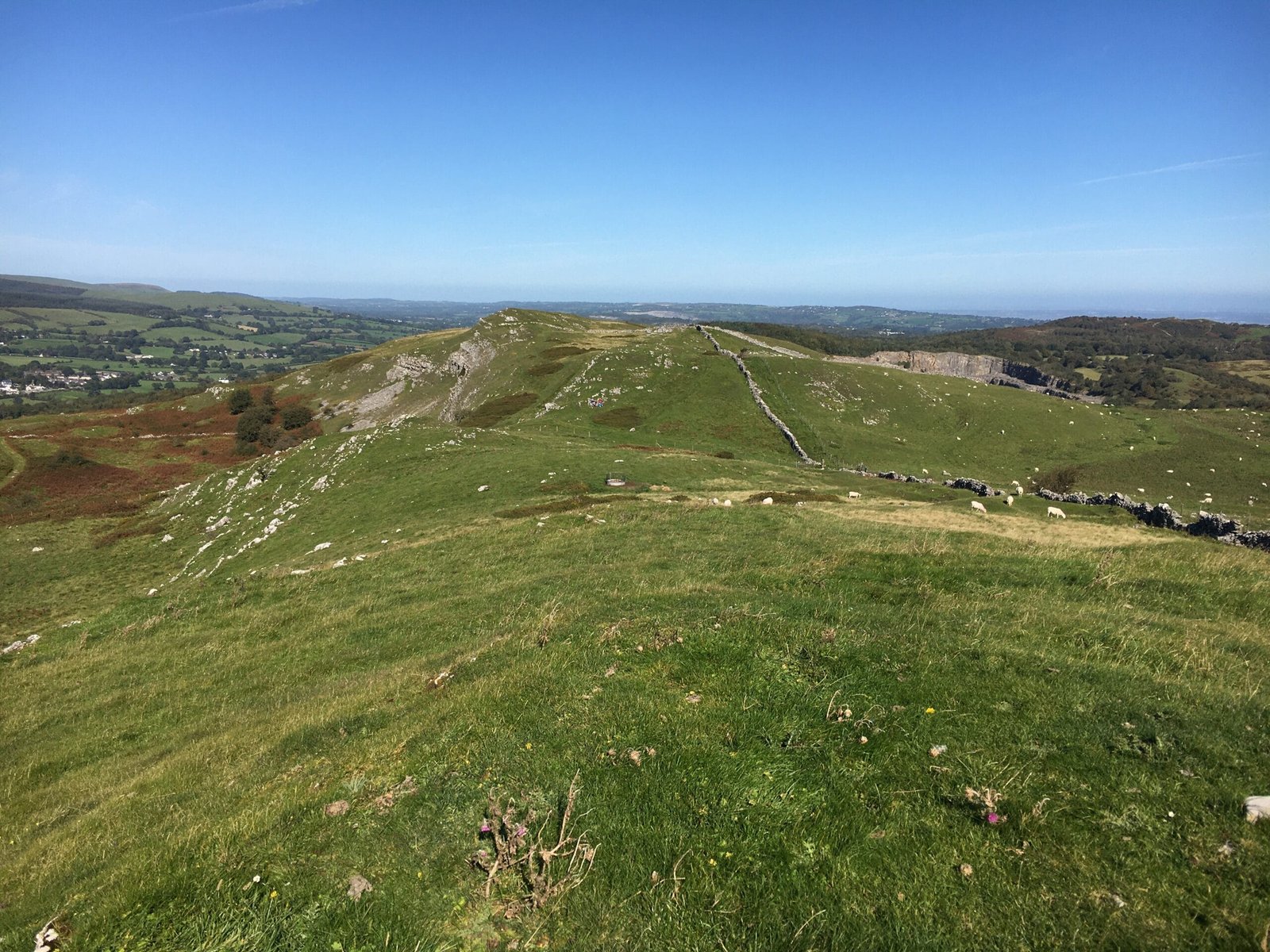 Bryn Alyn – Footprints Wales